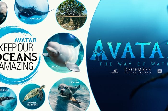 Disney and Avatar Launch “Keep Our Oceans Amazing” - Disney Plus Informer