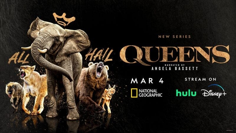 National Geographic's Queens Series